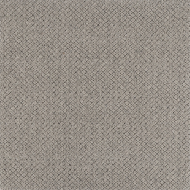 Dapple Cloud - 10/50469