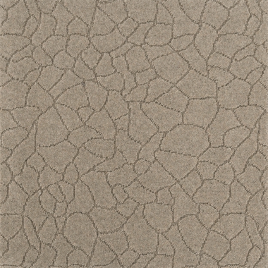 Roots Bamboo - 2/50570